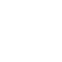 Salvi Harps